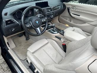 BMW 2-serie 220i High Executive picture 10