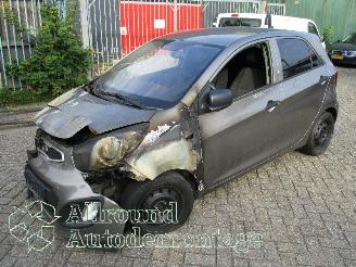 Voiture accidenté Kia Picanto Picanto (TA) Hatchback 1.0 12V (G3LA) [51kW]  (05-2011/06-2017) 2012/7