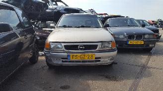 Salvage car Opel Astra Astra F (53/54/58/59) Hatchback 1.6i GL/GLS (X16SZR) [55kW]  (09-1991/01-1998) 1996/10